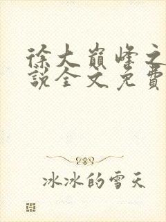 徐大巅峰之路小说全文免费阅读