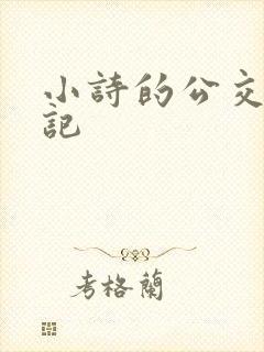 小诗的公交车日记