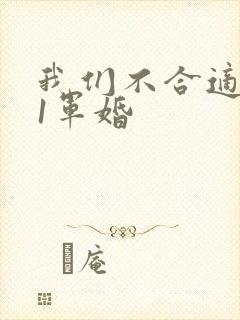 我们不合适1v1军婚