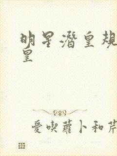 明星潜皇规则之皇