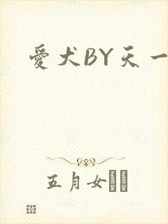 爱犬BY天一
