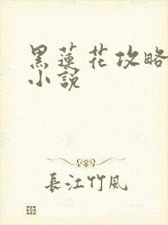 黑莲花攻略手册小说