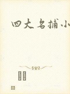 四大名捕小说