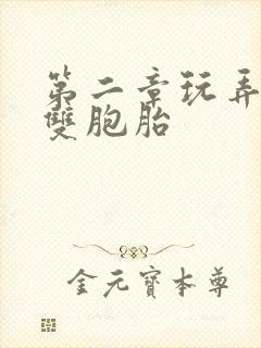 第二章玩弄少妇双胞胎