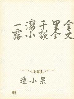 一泻千里金银花露小说全文免费阅读