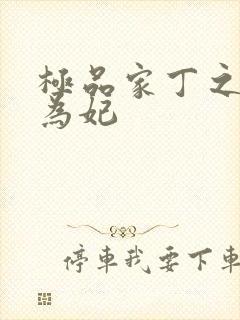 极品家丁之册母为妃