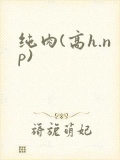 纯肉(高h.np)