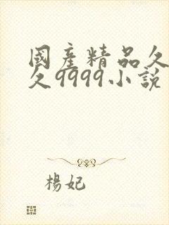 国产精品久久久久9999小说