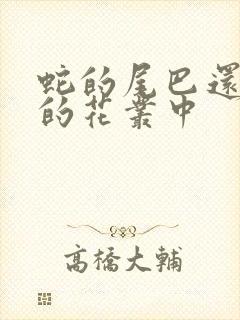 蛇的尾巴还在我的花丛中