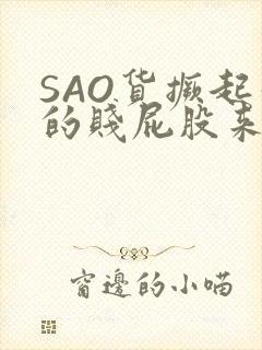 SAO货撅起你的贱屁股来