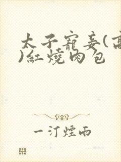 太子宠妾(高肉)红烧肉包