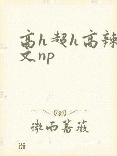高h超h高辣h文np