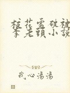 校花处破被灌满李老头小说