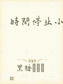 时间停止小说