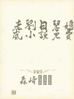 老刘日儿媳妇张岚小说免费阅读