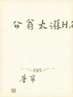 公翁太涨H欲渴