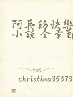 阿兵的快乐生活小说 全章节阅读免费