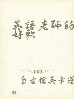 英语老师的兔子好软