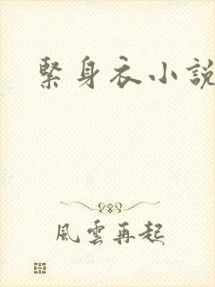 紧身衣小说