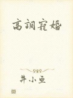 高调宠婚
