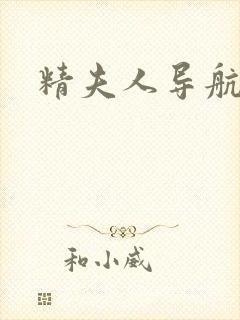 精夫人导航