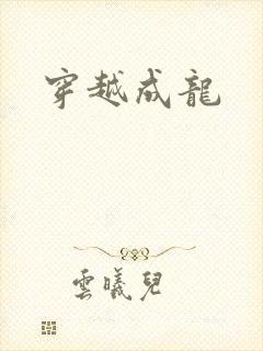 穿越成龙