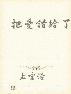 把爱错给了你