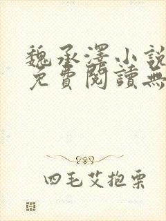 魏承泽小说全文免费阅读无弹窗笔趣