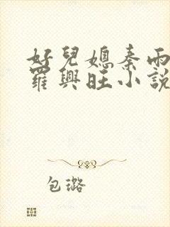 好儿媳秦雨罗明罗兴旺小说