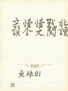 宋惜惜战北望小说全文阅读