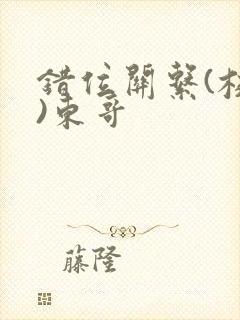 错位关系(校园)东哥