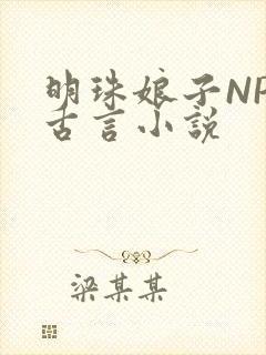 明珠娘子NPC古言小说