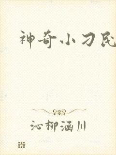 神奇小刁民