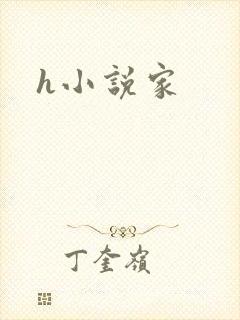 h小说家