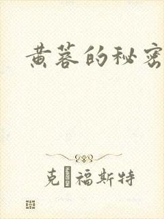 黄蓉的秘密