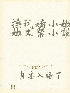 搡我娇小嫩苞又嫩又紧小说