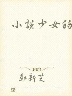 小说少女的心