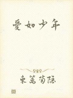 爱如少年