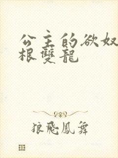 公主的欲奴h四根双龙