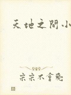 天地之间小说
