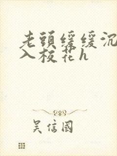 老头缓缓沉腰进入校花h