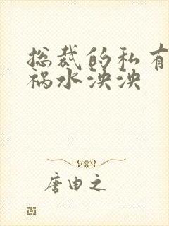 总裁的私有宝贝祸水泱泱