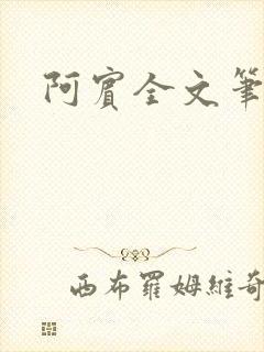 阿宾全文笔趣阁