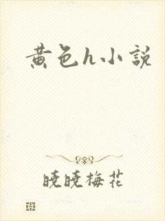 黄色h小说