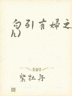 勾引有妇之夫(h)