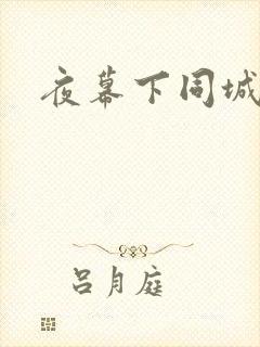 夜幕下同城网