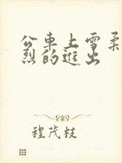 公车上雪柔被猛烈的进出