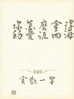 你怎么舍得让我的爱流向海