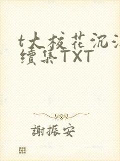 t大校花沉浮录续集TXT