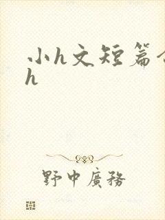 小h文短篇合集h